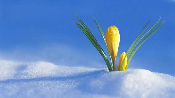 blog C test